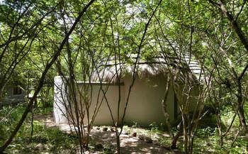 Bakwena Lodge Kasane Buitenkant foto